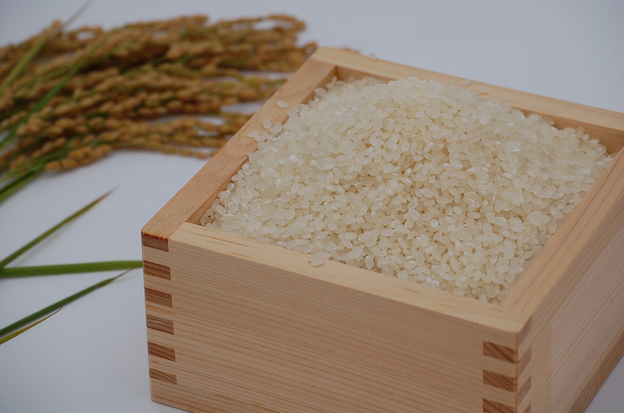 安曇野産コシヒカリ（白米）約５ｋｇ　令和７年産