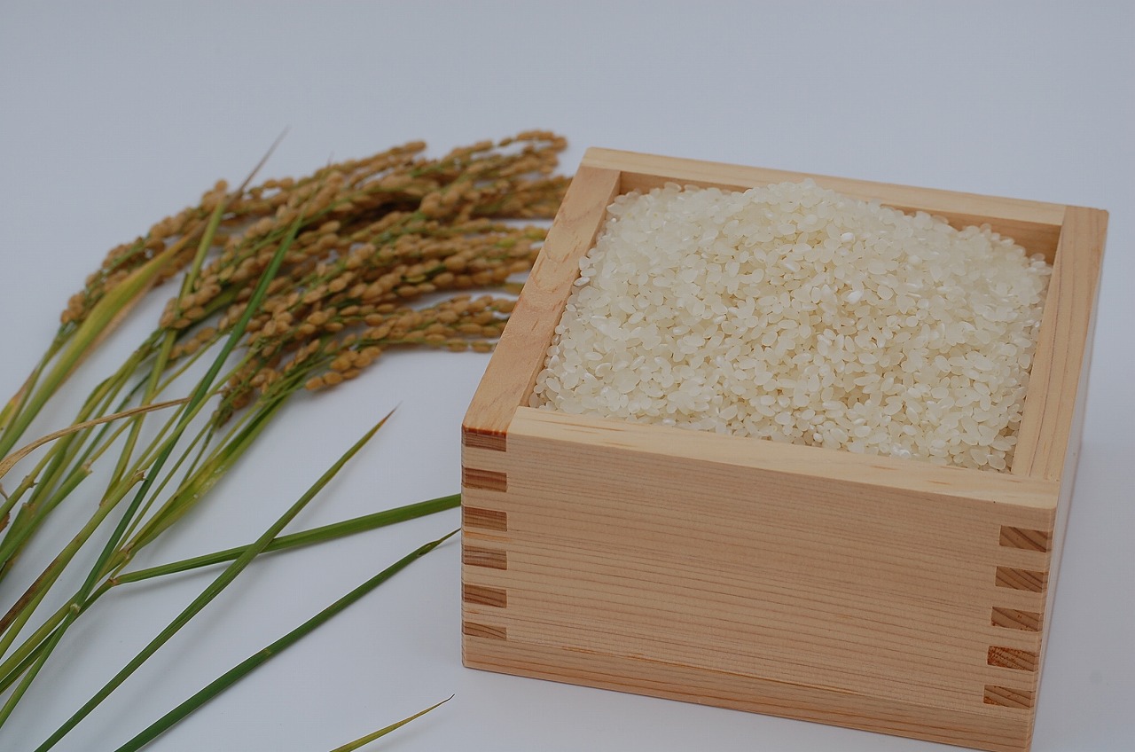 安曇野産コシヒカリ（白米）１０ｋｇ　令和８年産